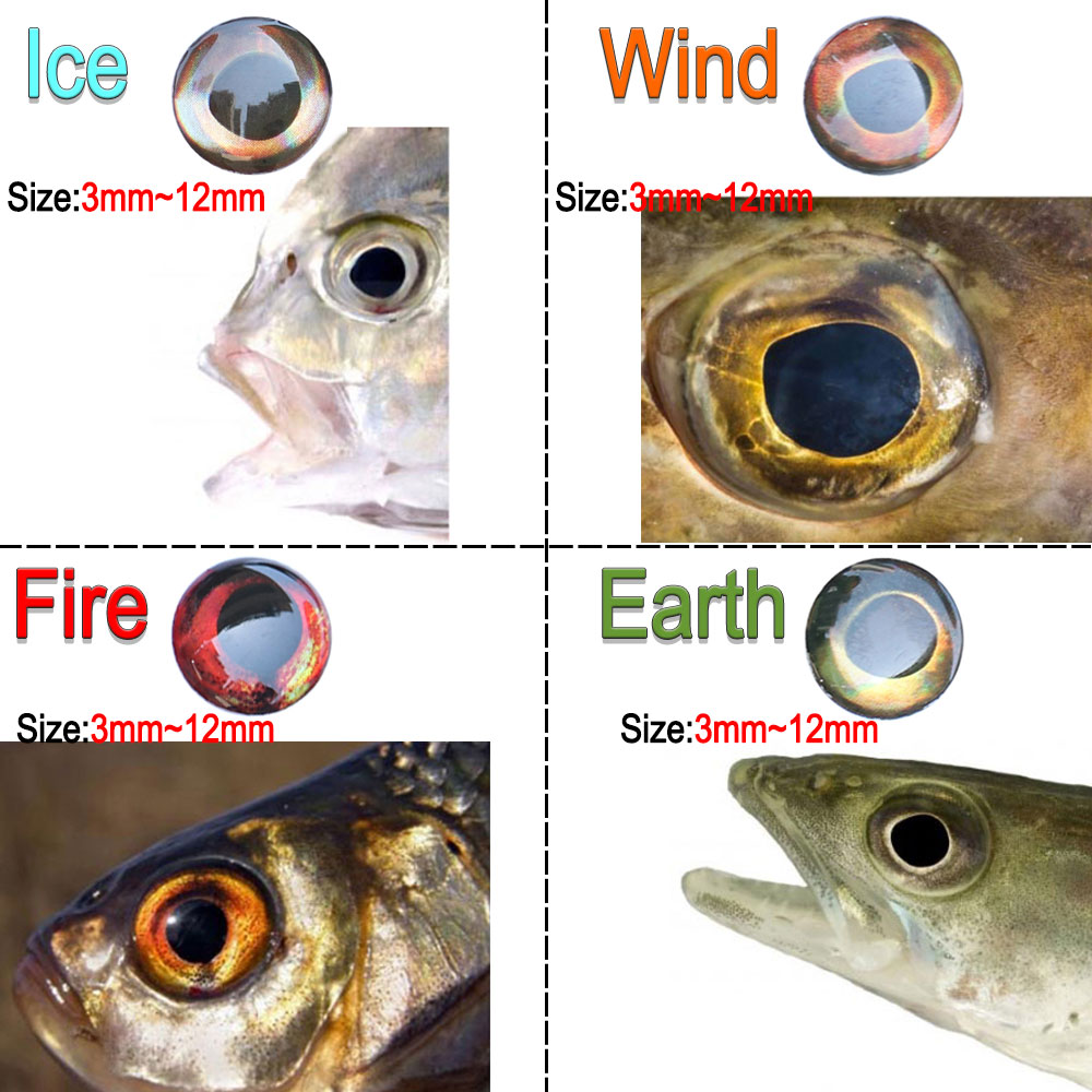 ICERIO 100PCS Holographic 3D 4 - Fishing Equipment Deals บทวิจารณ์และราคา
